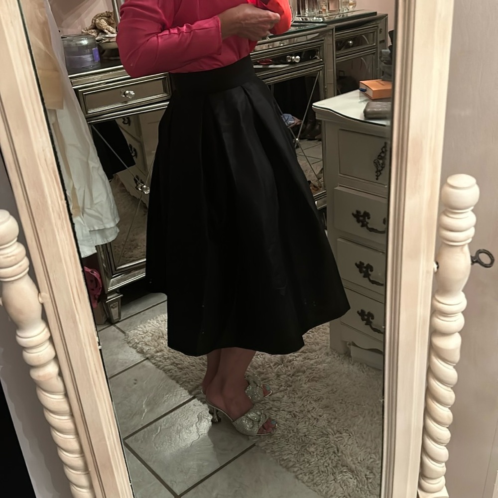Gorgeous Black Skirt - Formal / size 6 (S/M)